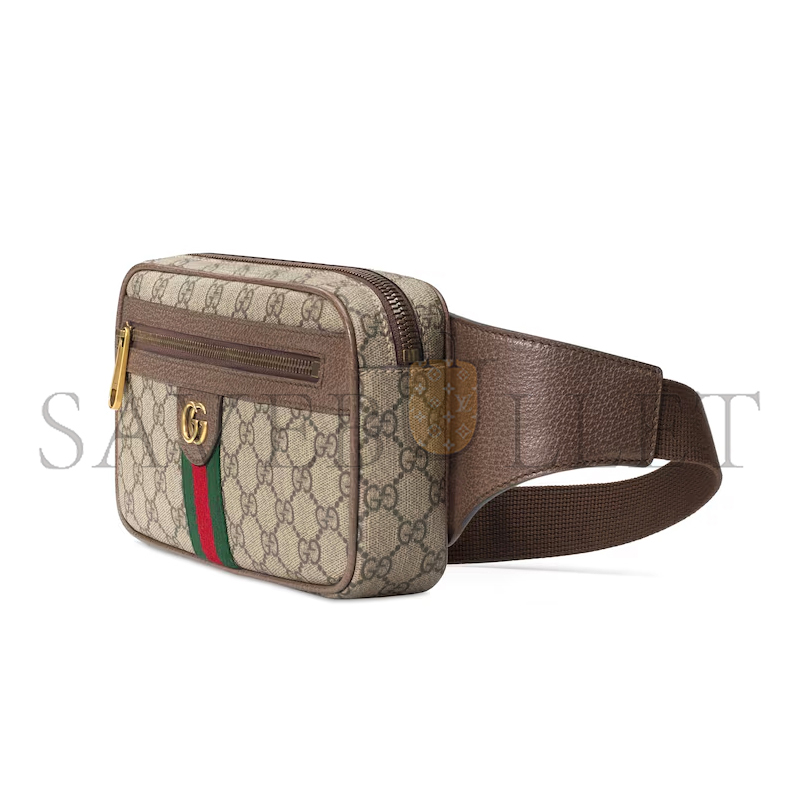 GUCCI OPHIDIA SMALL BELT BAG ‎574796 (24*14*5cm)